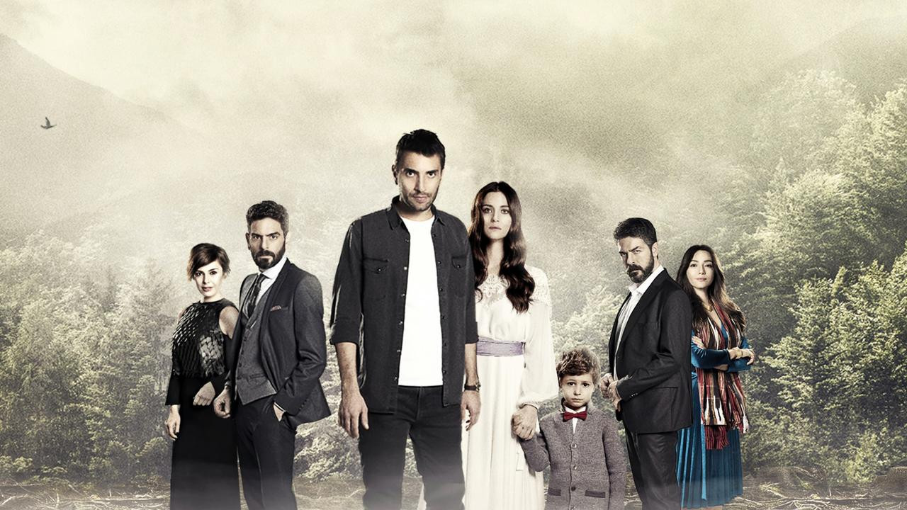 შენ მითხარი, კარადენიზ ქართულად — პოსტერი